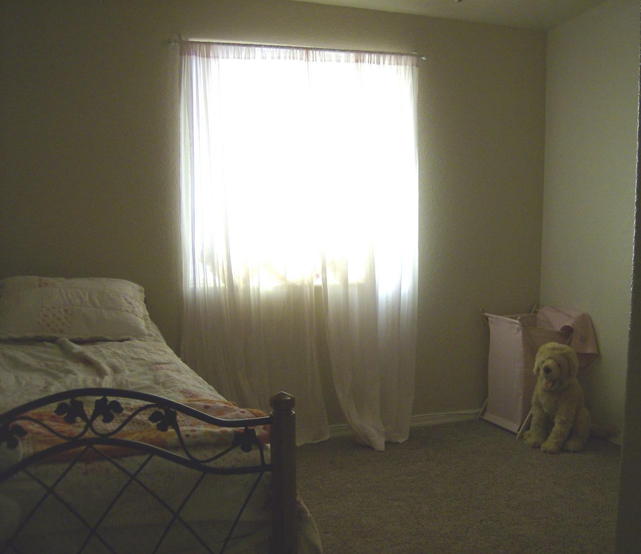 16030 West Skinner Road Surprise, AZ 85387 - Photo 10 of 23 Bedroom 3