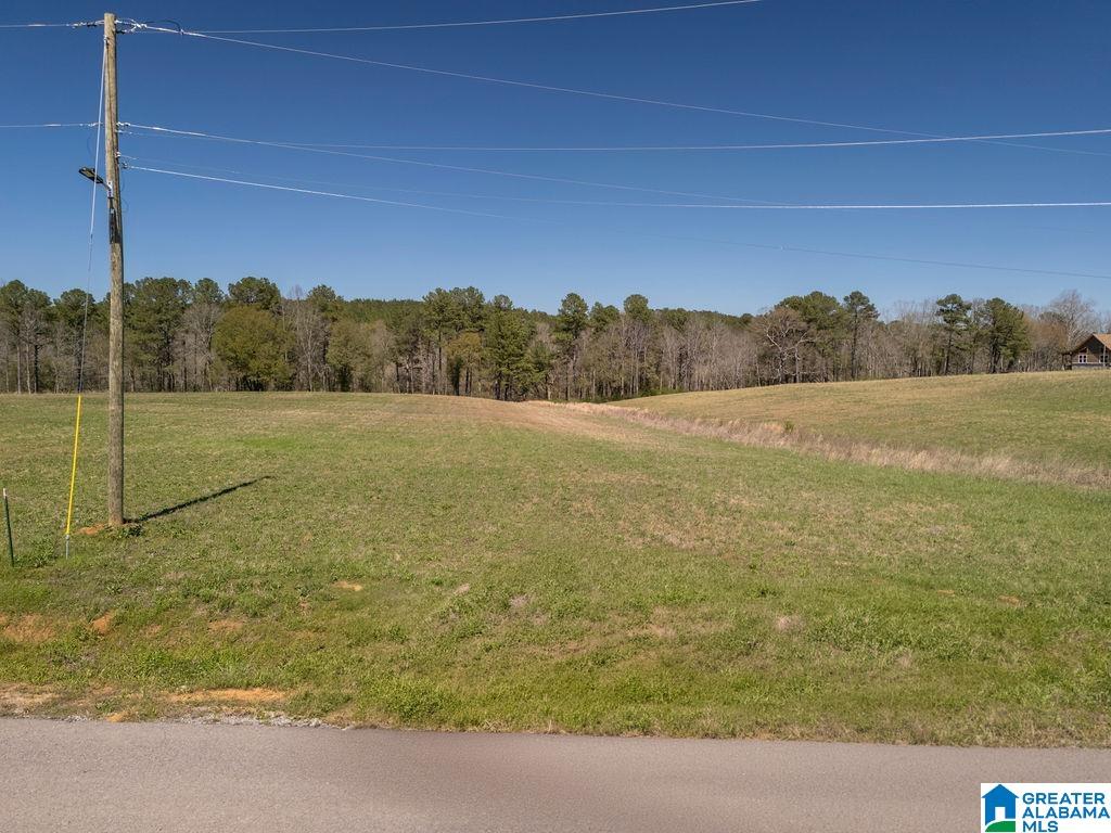 Bluegrass Lane, Unit 11 Jasper, AL 35503 - Photo 17 of 38