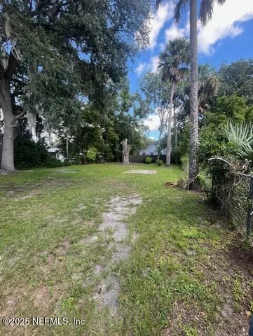 a view of a field with a tree