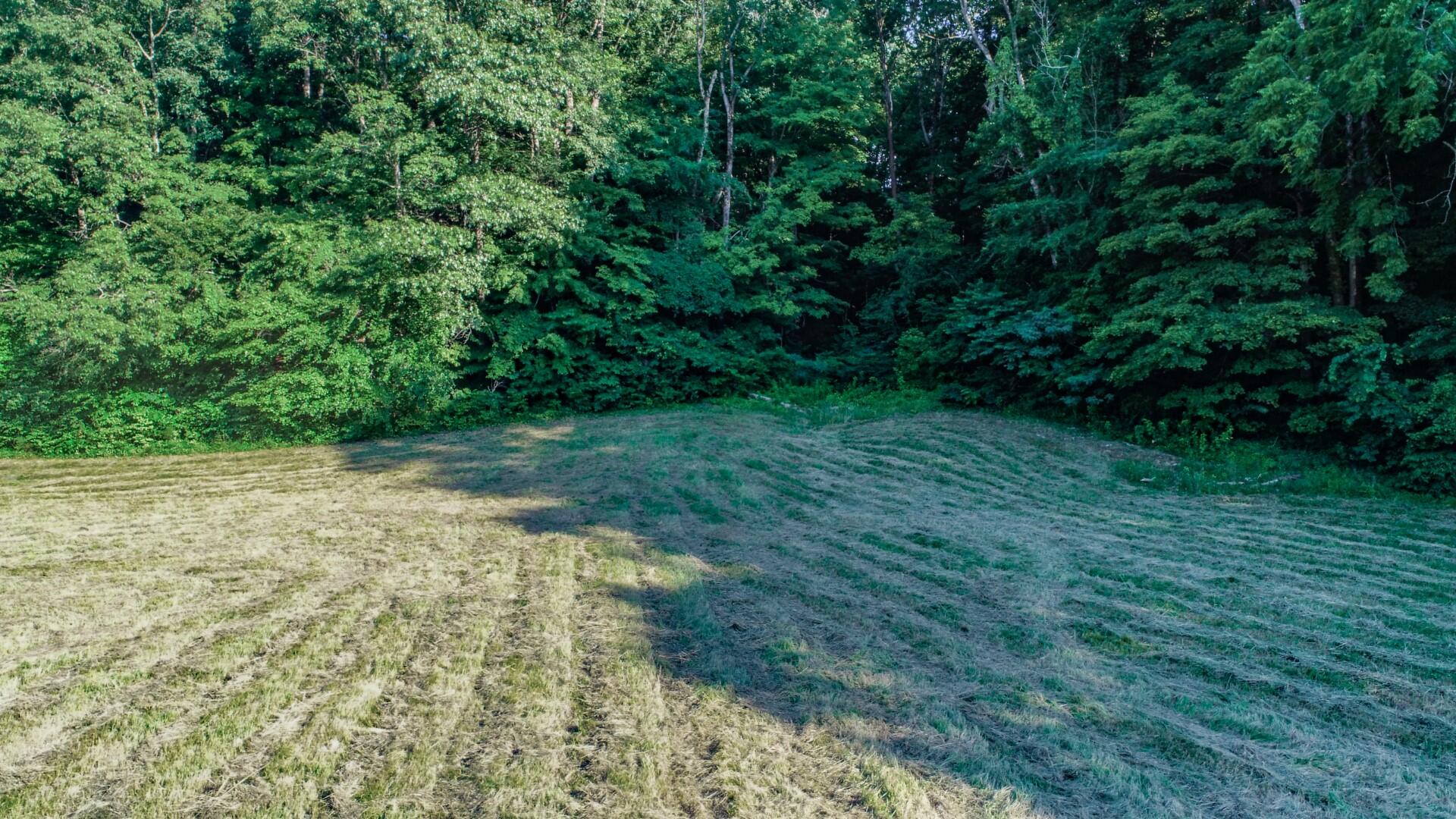7.24-ac Sims Road Sevierville, TN 37876 - Photo 25 of 35 20