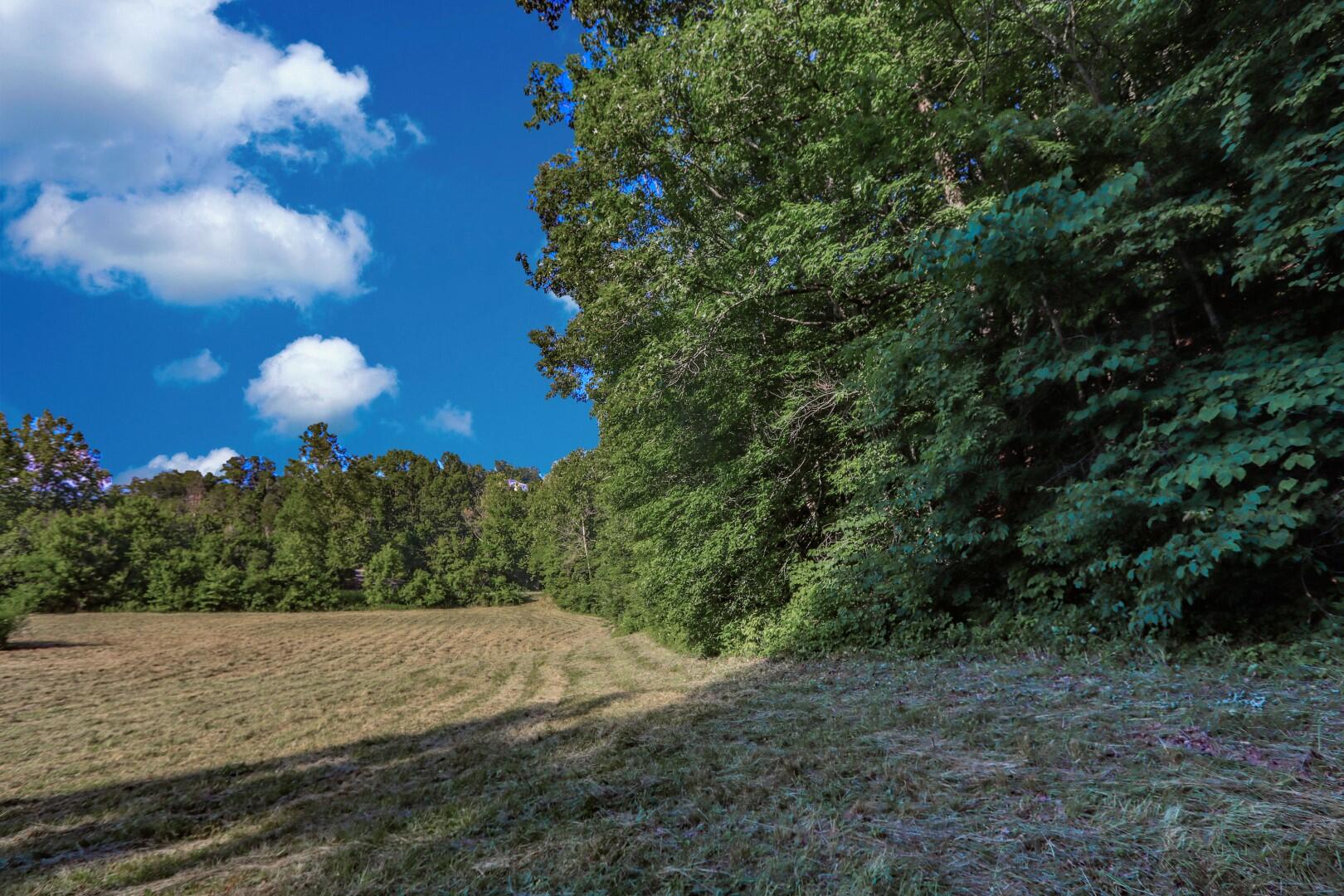 7.24-ac Sims Road Sevierville, TN 37876 - Photo 28 of 35 23ps