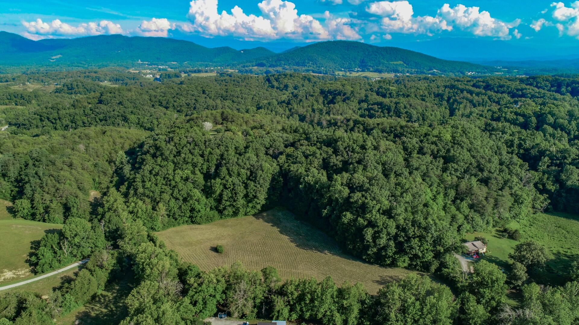 7.24-ac Sims Road Sevierville, TN 37876 - Photo 5 of 35 4