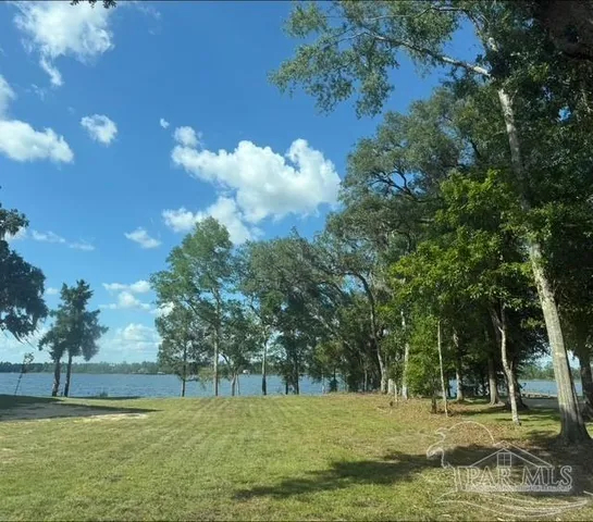 a view of a tree in a yard