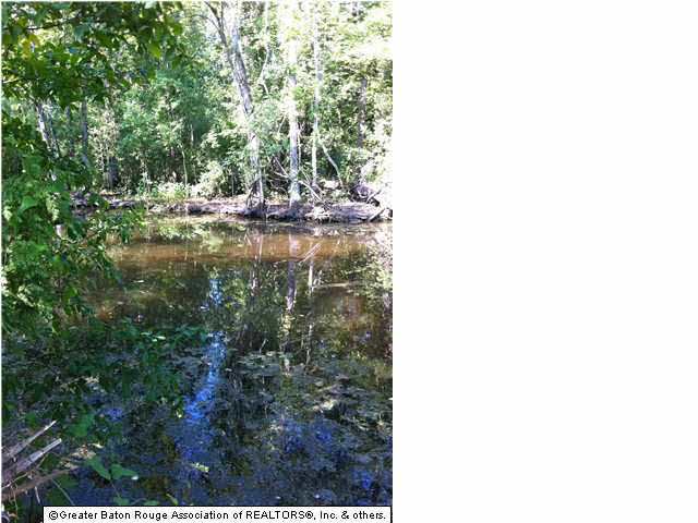 8284 Phillips Road St. Amant, LA 70774 - Photo 1 of 3 Gallery Image 1