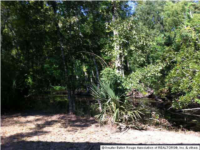 8284 Phillips Road St. Amant, LA 70774 - Photo 3 of 3 Gallery Image 3