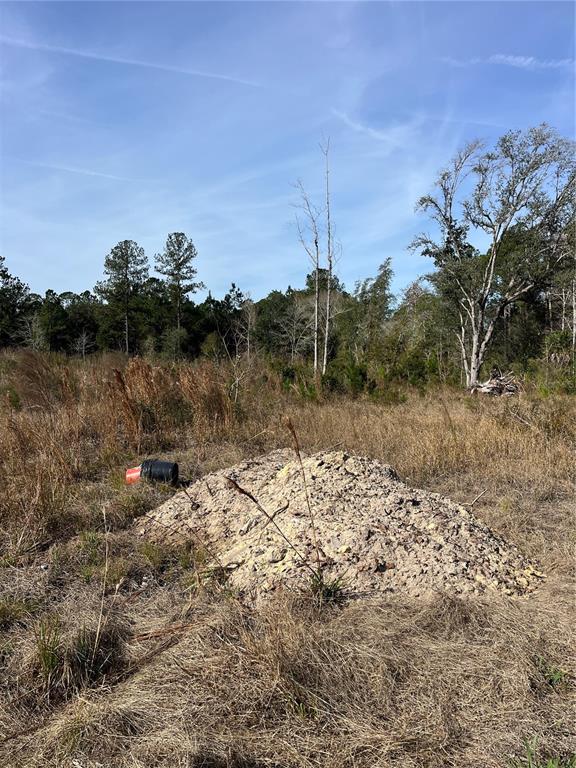 137th Place Northeast Citra, FL 32113 - Photo 3 of 4 a view of a lake with a mountain