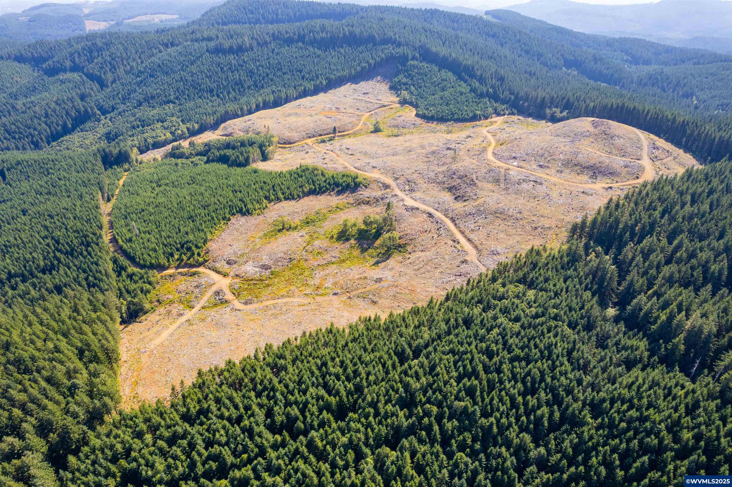 0 Bald Mountain Access Road Willamina, OR 97396 - Photo 13 of 30