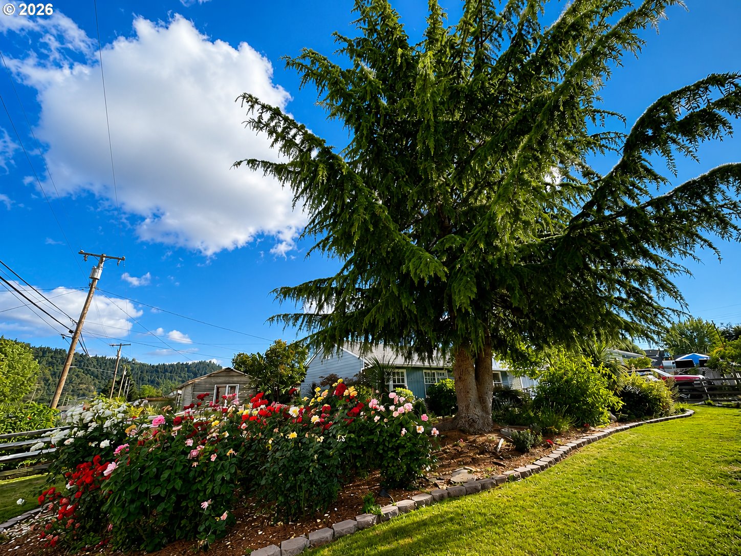 10 Southwest Peach Lane Winston, OR 97496 - Photo 4 of 22 a view of a garden