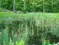 203 Spring Street Farmington, NH 03835 - Photo 20 of 23