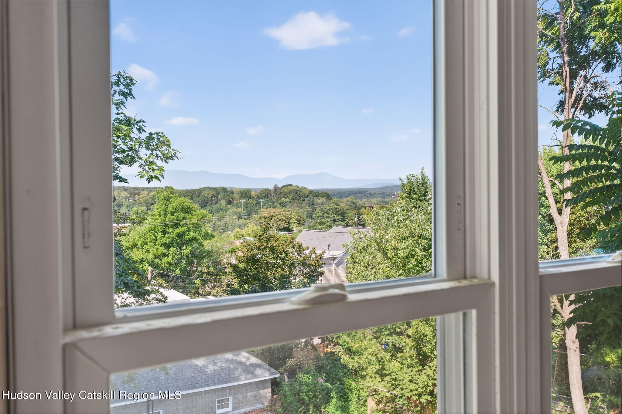 17 New Street Catskill, NY 12414 - Photo 29 of 92 a view of a garden from a window