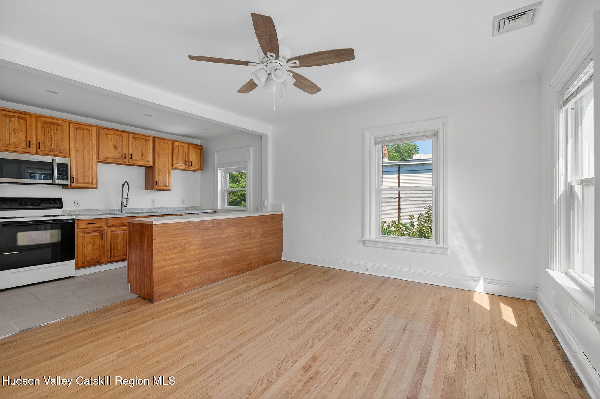 17 New Street Catskill, NY 12414 - Photo 42 of 92 66-web-or-mls-17-new-st