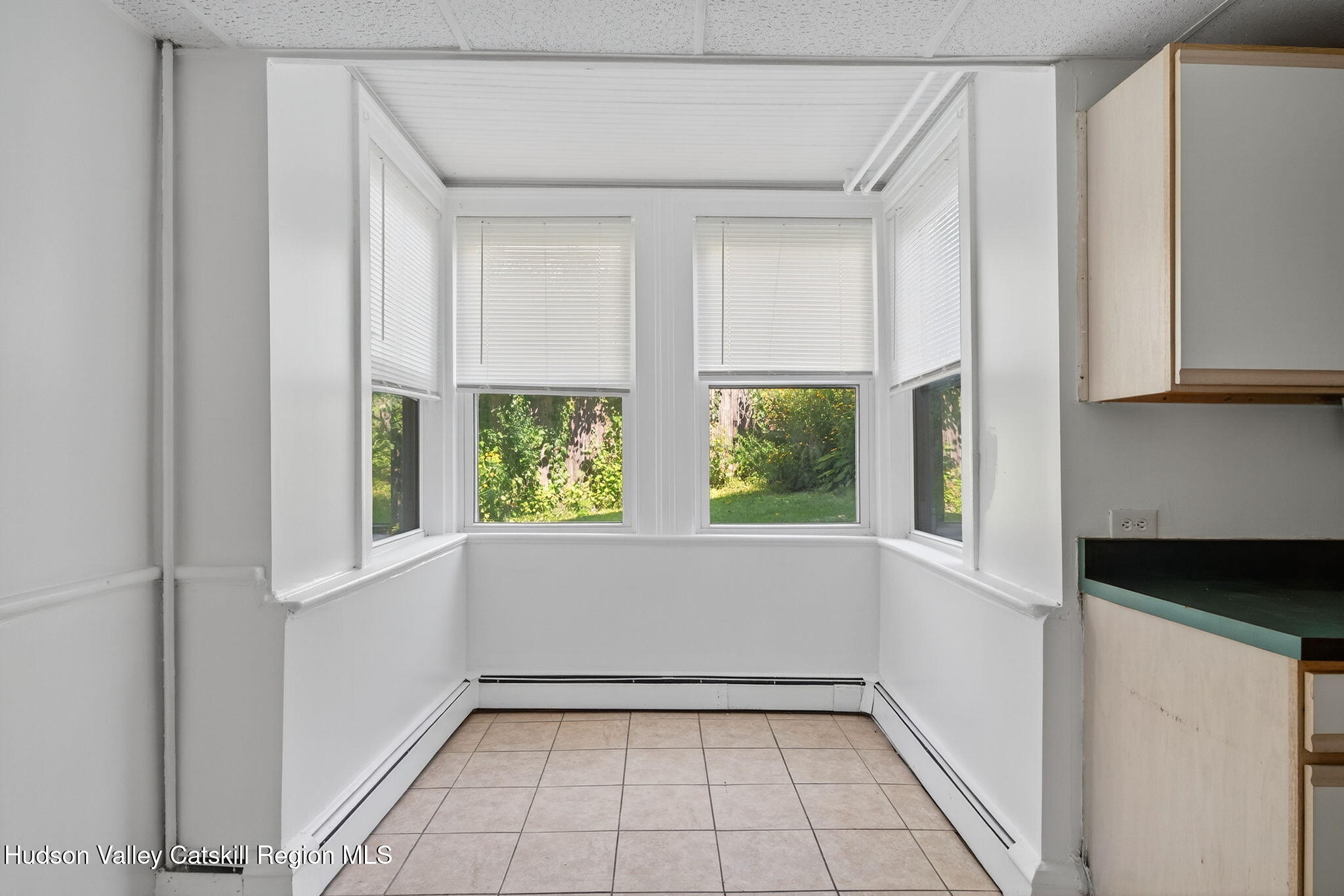 17 New Street Catskill, NY 12414 - Photo 58 of 92 98-web-or-mls-17-new-st