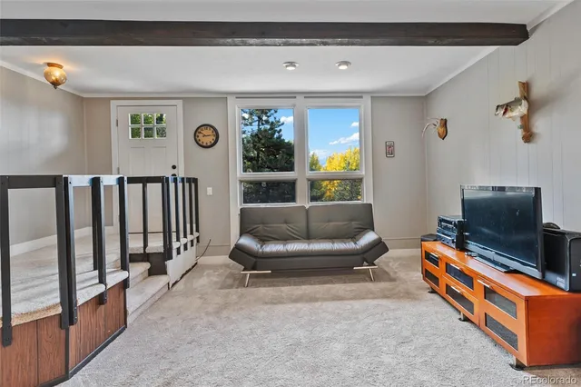 $705,000 | 1051 Forest Hill Road, Woodland Park, CO 80863