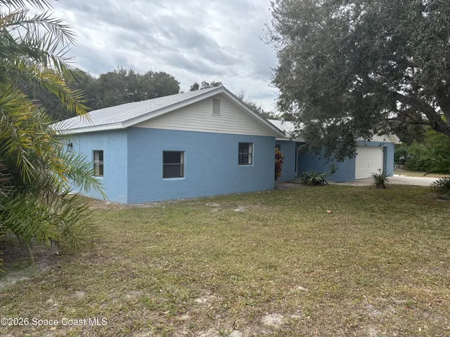 a backyard of a house with plants and tree