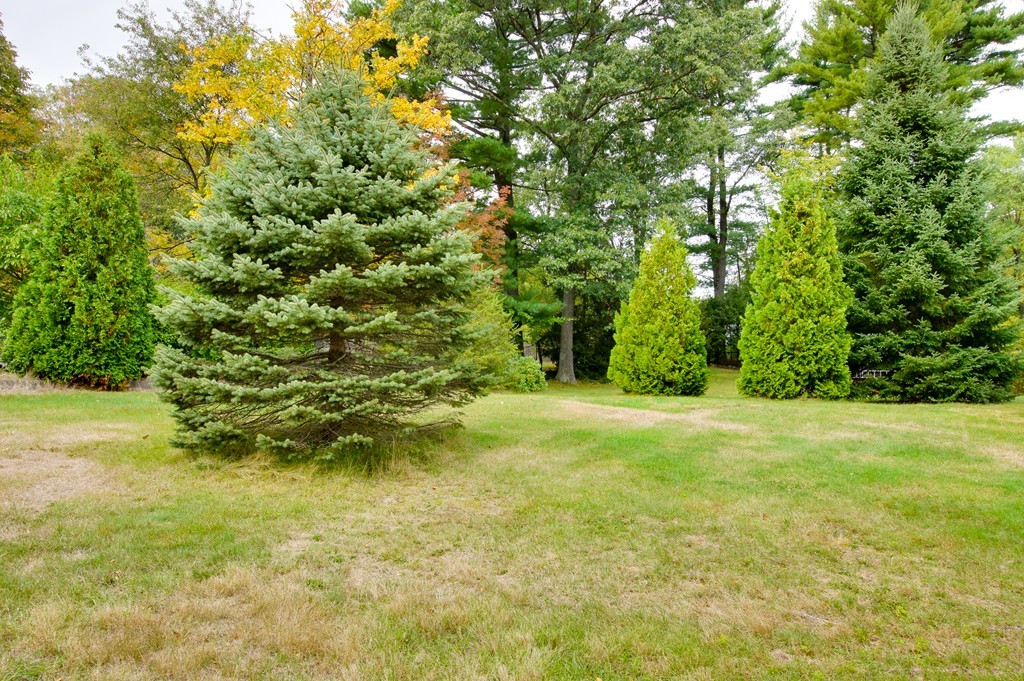 31 Shawsheen Road Billerica, MA 01821 - Photo 6 of 22 Gallery Image 6