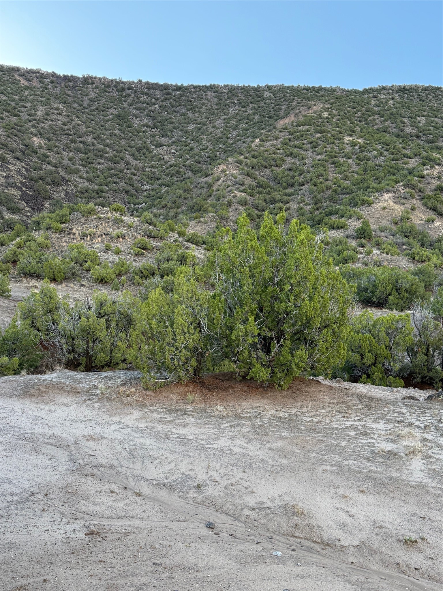Tbd Lot 3 Tbd Road Ojo Caliente, NM 87549 - Photo 7 of 24