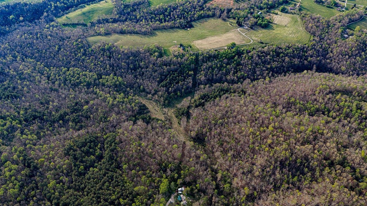 0 West Vincent Road Bee Spring, KY 42207 - Photo 2 of 9 Gallery Image 2