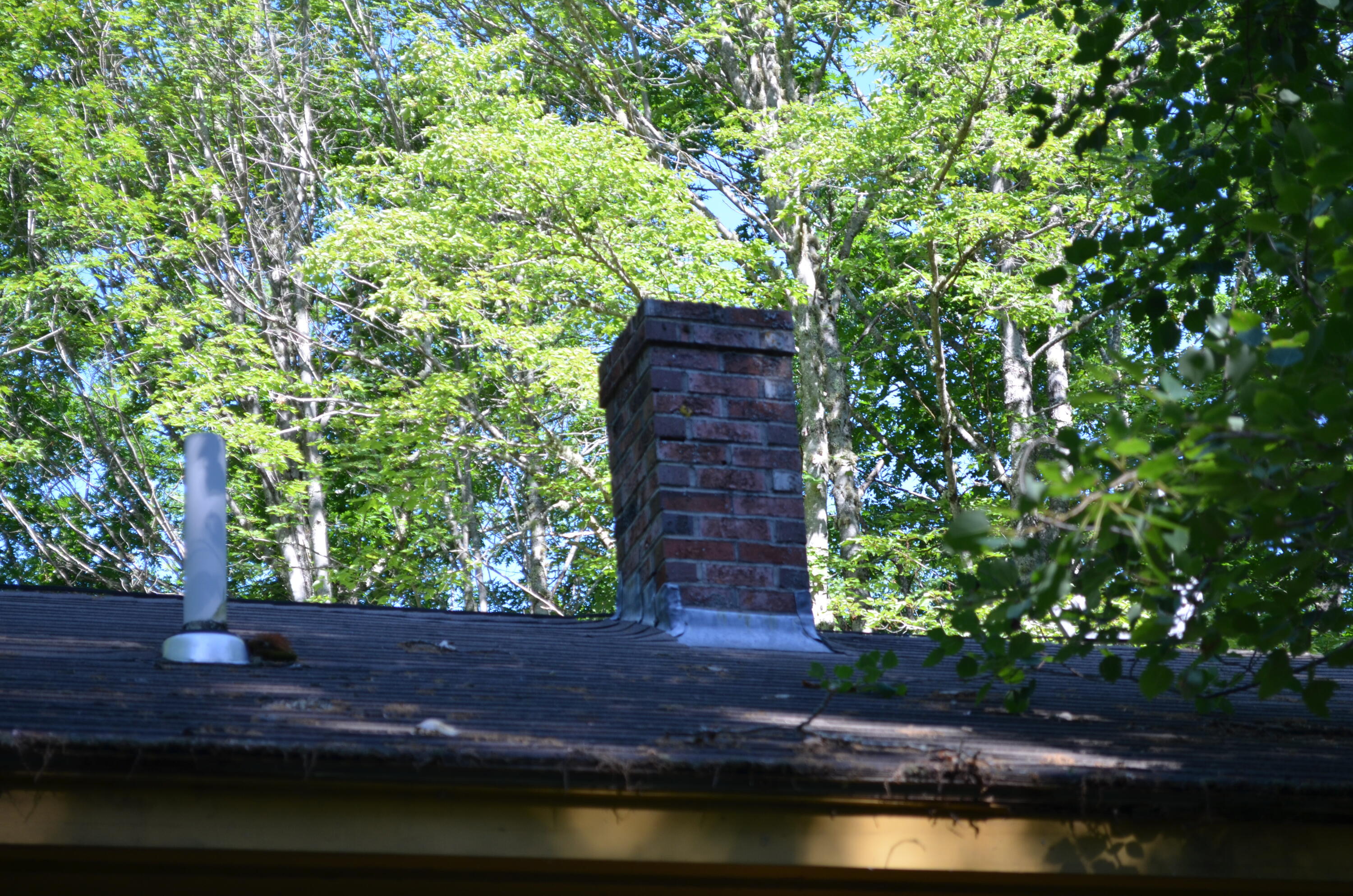 503 West Neck Road Nobleboro, ME 04555 - Photo 7 of 8 DSC_0013