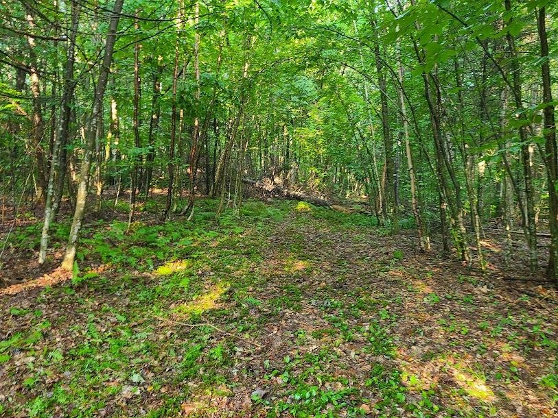 0 Flagg Road, Unit 28 Marlow, NH 03456 - Photo 6 of 13