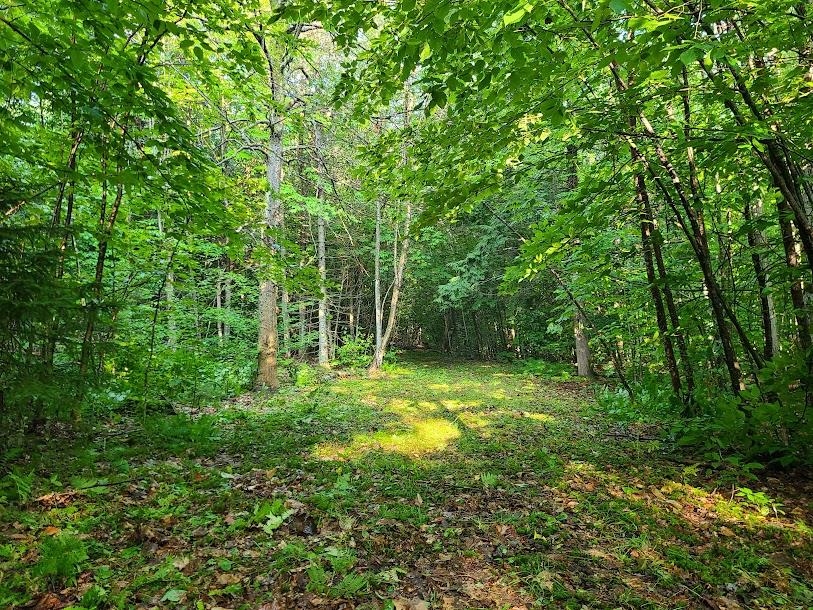 0 Flagg Road, Unit 28 Marlow, NH 03456 - Photo 8 of 13