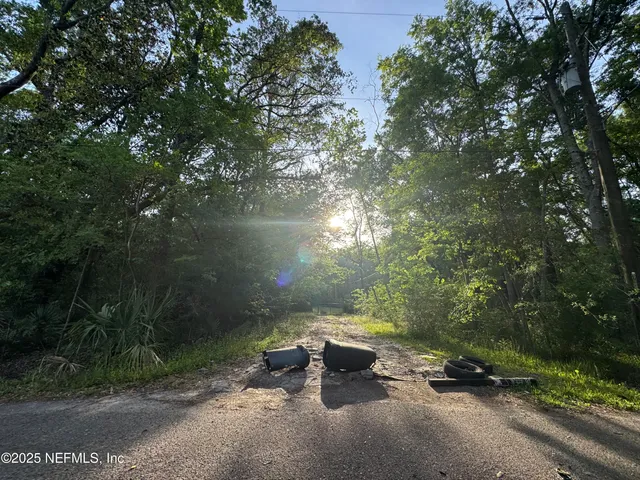 a view of a bench in a yard