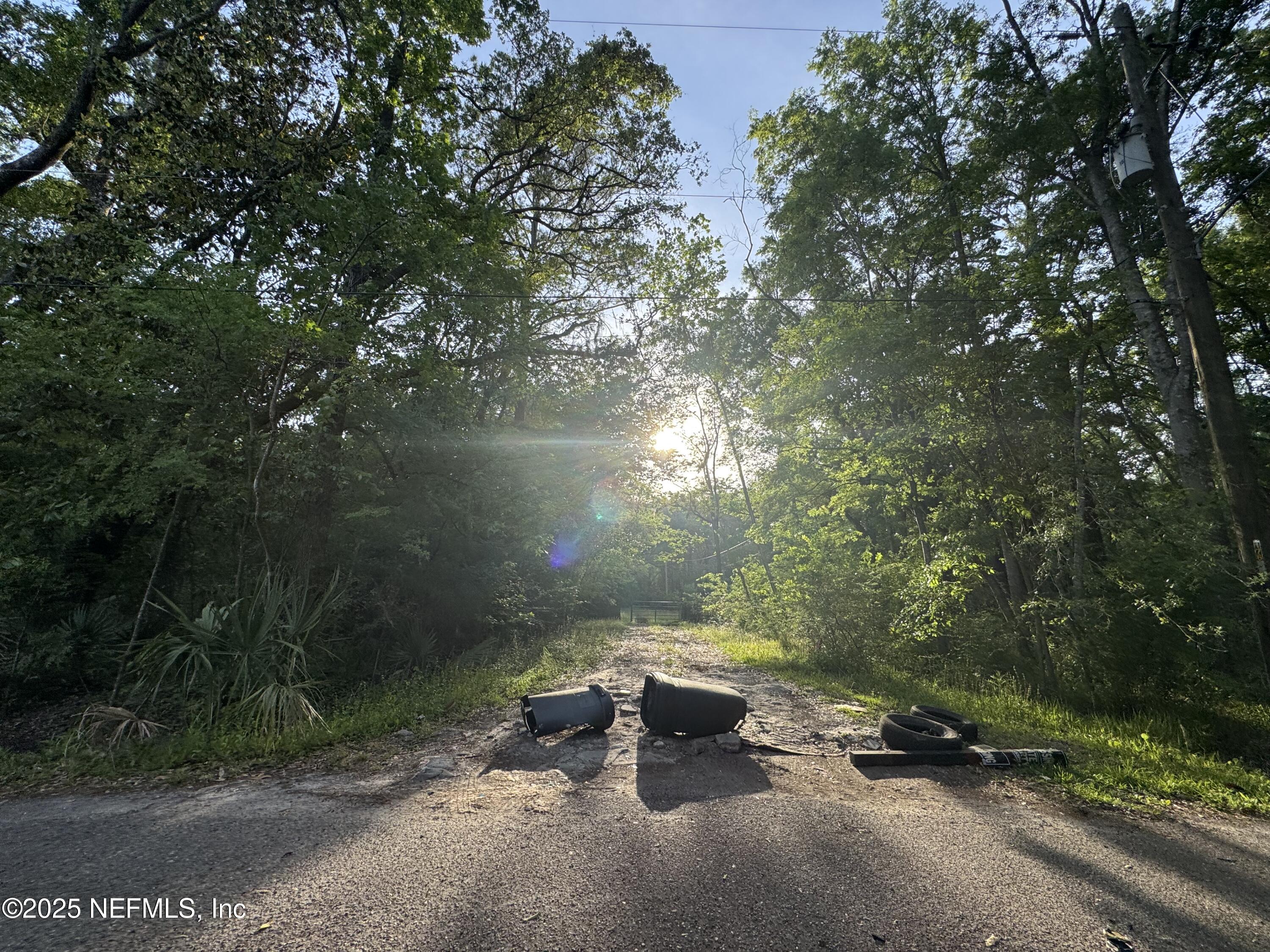 a view of a bench in a yard