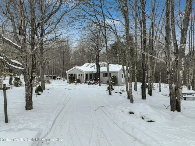 a view of a yard with snow in the background