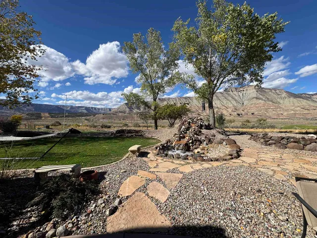 a view of a yard with a tree