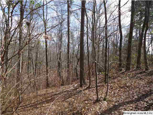 Loop Road Steele, AL 35987 - Photo 6 of 17