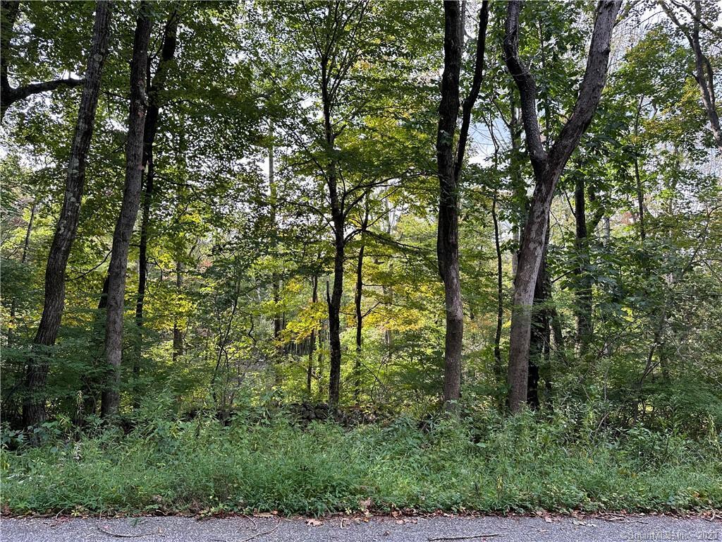 0 Lake Road Warren, CT 06754 - Photo 5 of 6 a view of outdoor space and trees