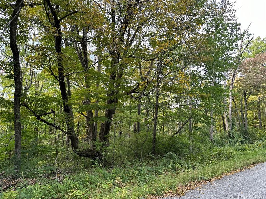 0 Lake Road Warren, CT 06754 - Photo 6 of 6 a view of a forest