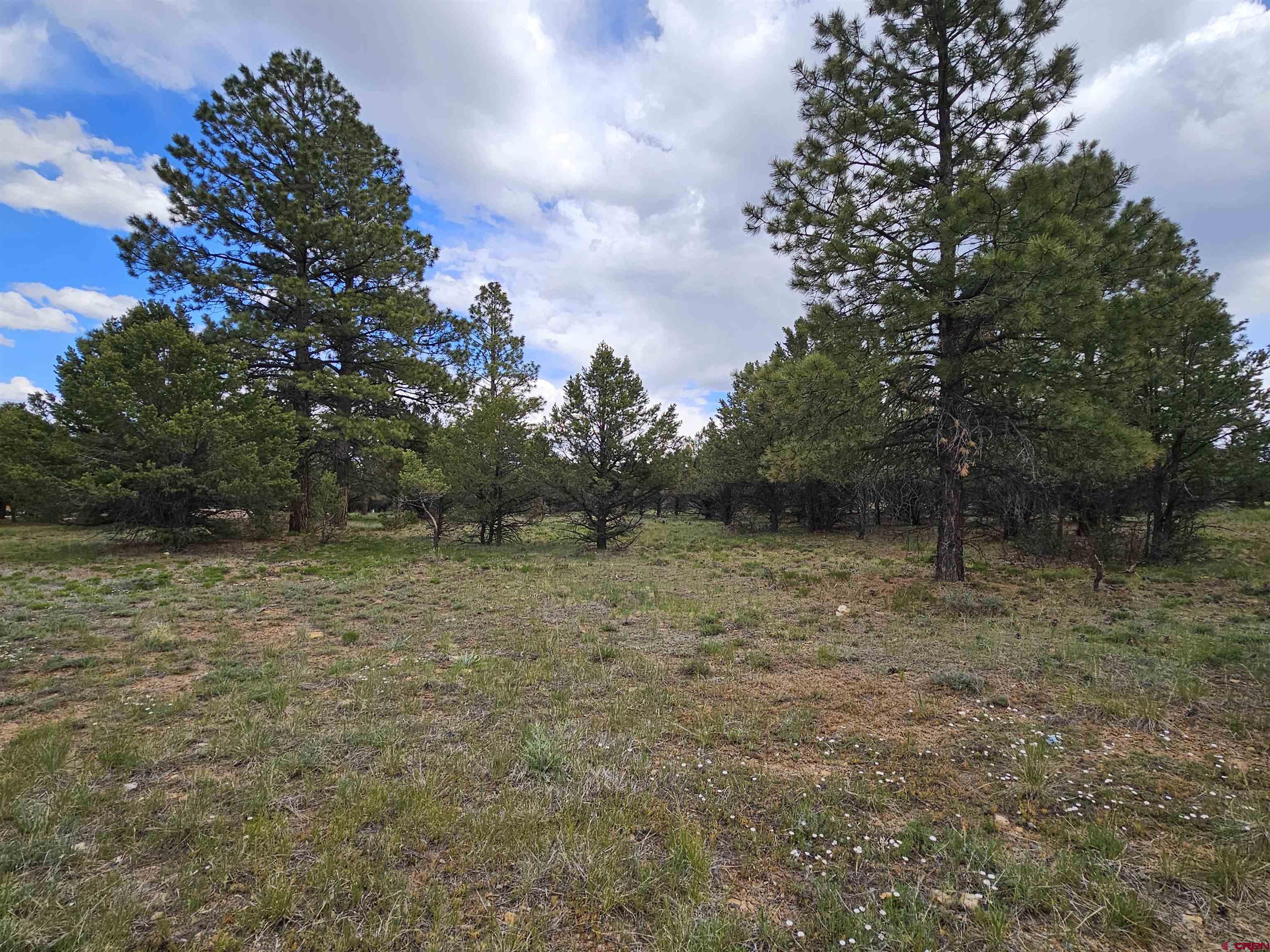 Tbd Marmot Drive Ridgway, CO 81432 - Photo 5 of 5