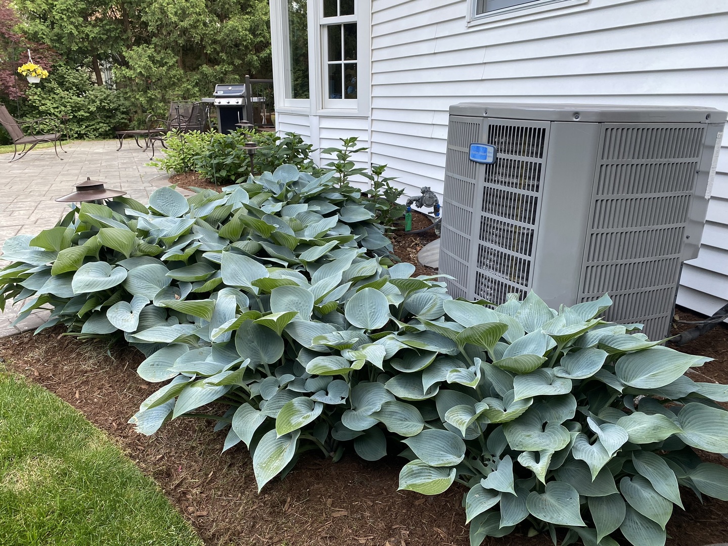 930 Appomattox Circle Naperville, IL 60540 - Photo 27 of 29 a plant with a white house