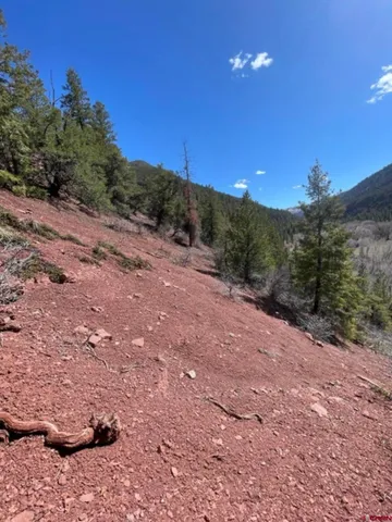 a view of a middle of a yard