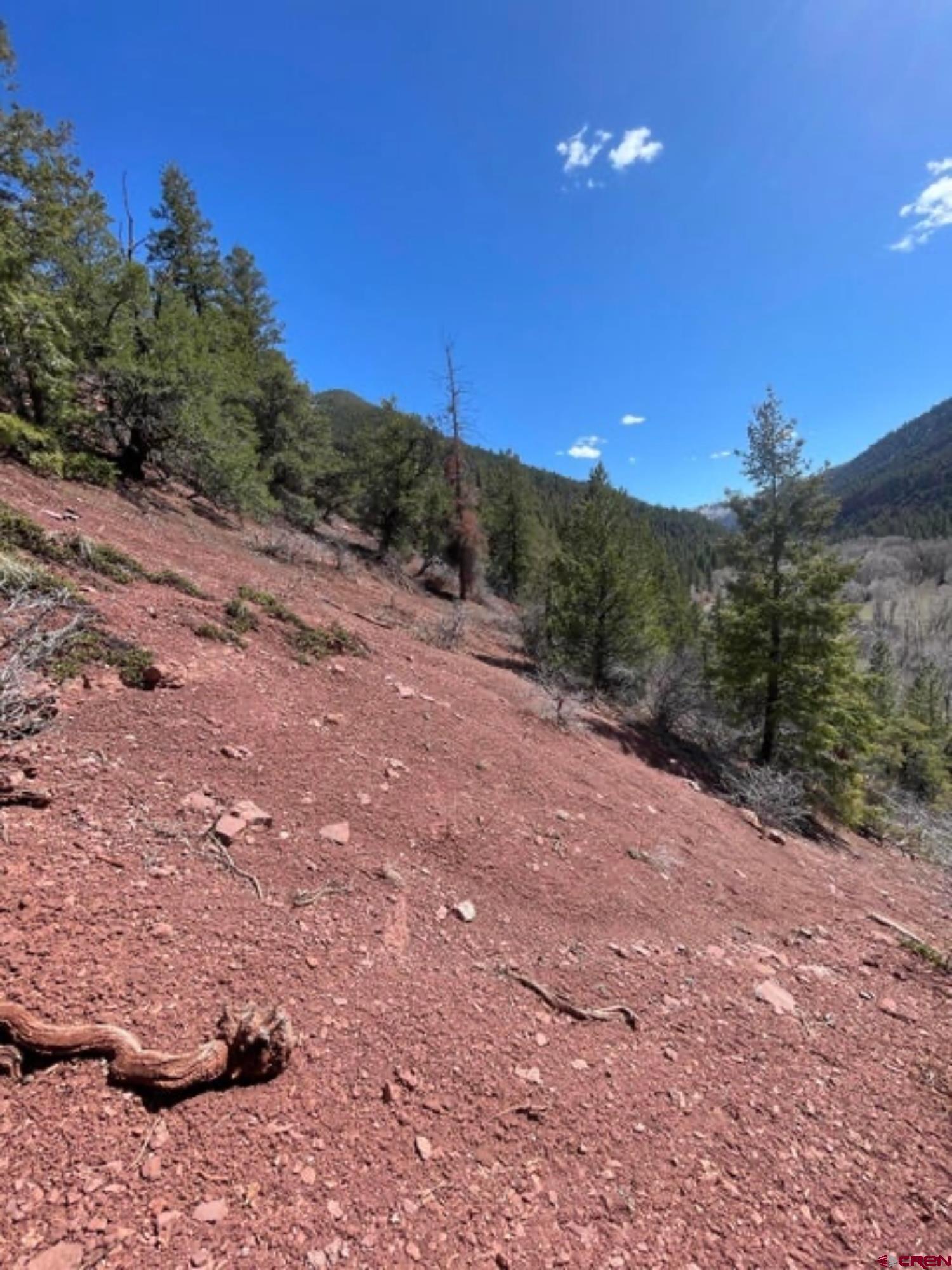 Lot 10-fall Cre 57t Fall Creek Road Placerville, CO 81430 - Photo 11 of 21 a view of a middle of a yard