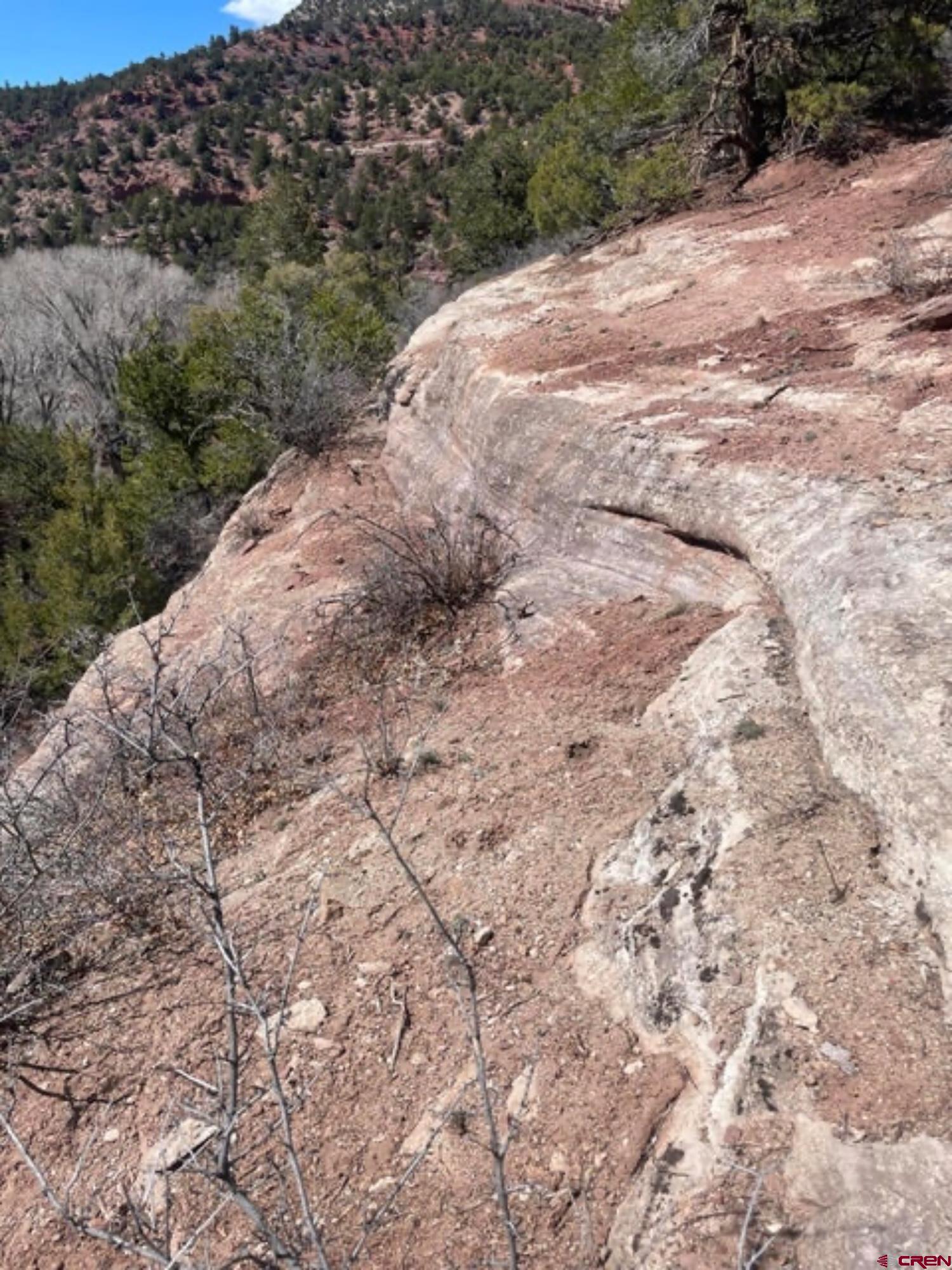 Lot 10-fall Cre 57t Fall Creek Road Placerville, CO 81430 - Photo 12 of 21