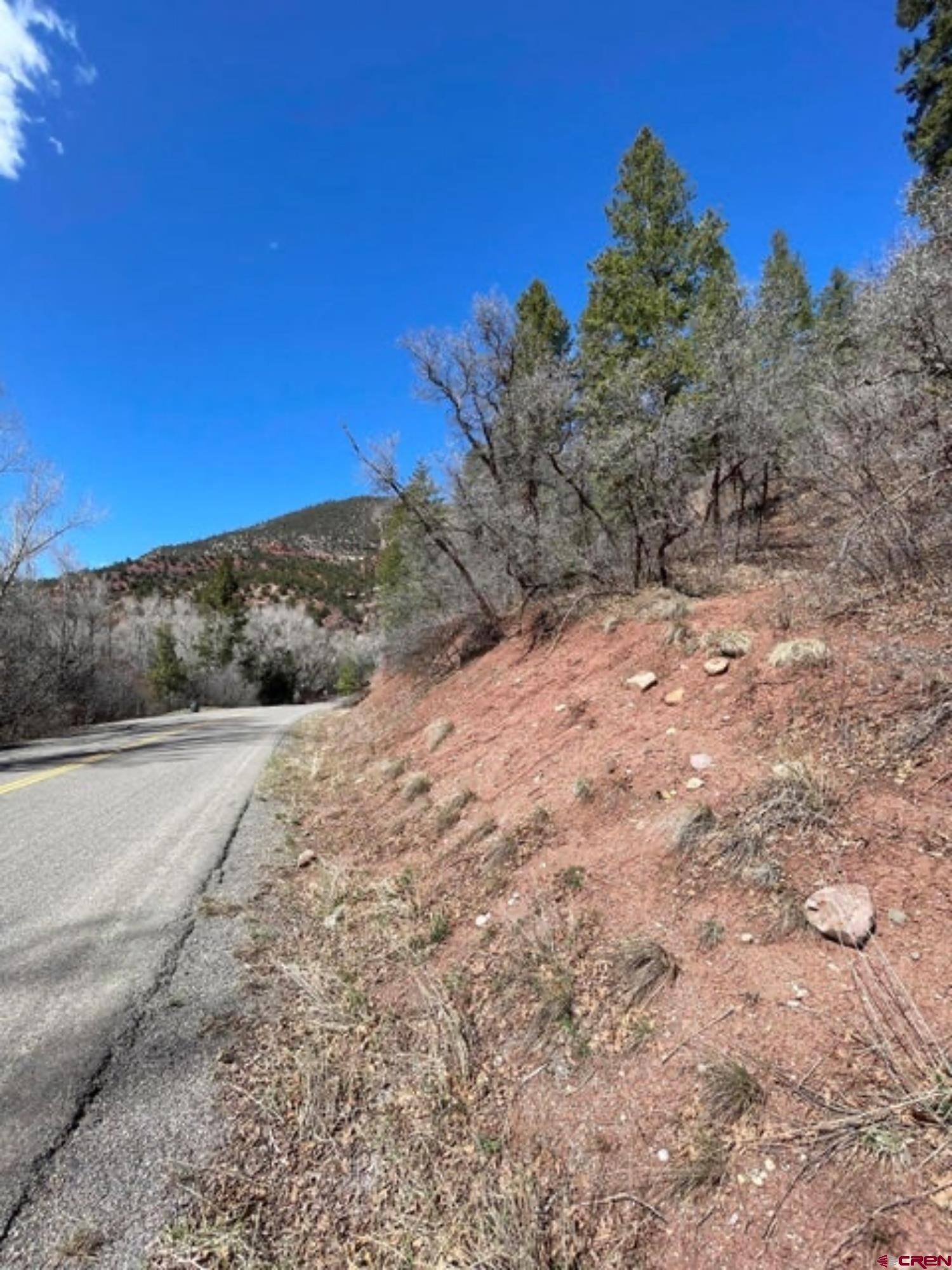Lot 10-fall Cre 57t Fall Creek Road Placerville, CO 81430 - Photo 13 of 21 a view of a yard with a tree