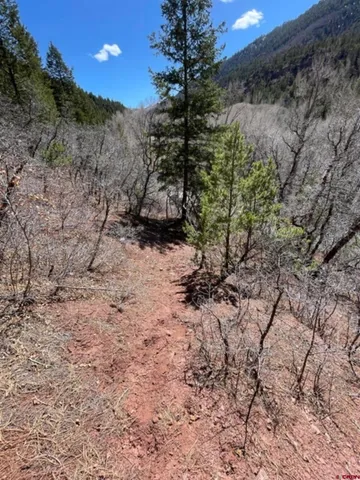 $200,000 | Lot 10-fall Fall Creek Road, Placerville, CO 81430