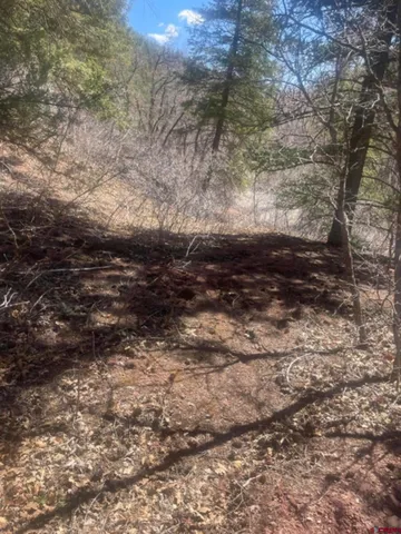 a view of a yard with trees in the background
