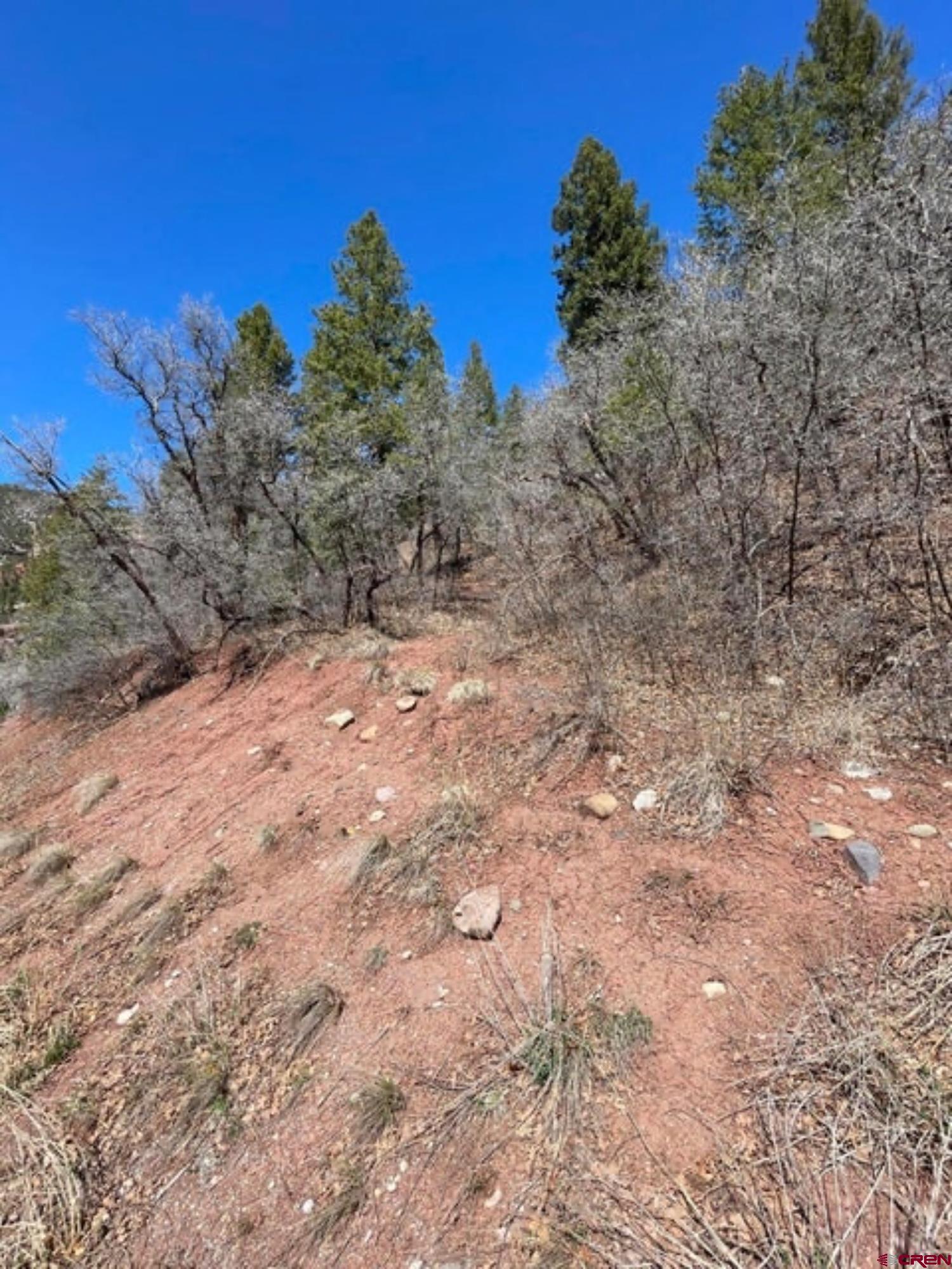 Lot 10-fall Cre 57t Fall Creek Road Placerville, CO 81430 - Photo 4 of 21 a view of a yard with a tree