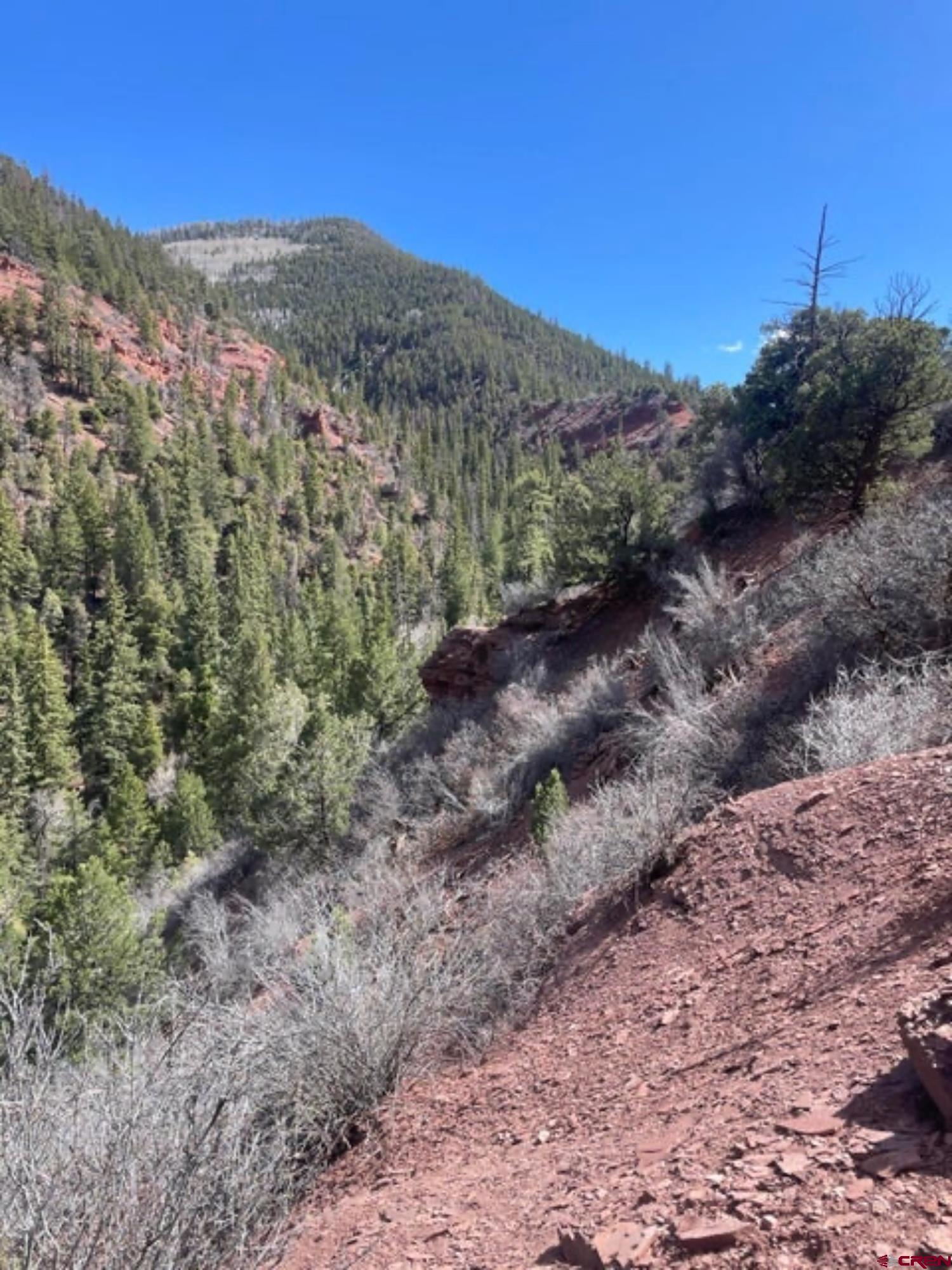 Lot 10-fall Cre 57t Fall Creek Road Placerville, CO 81430 - Photo 8 of 21 a view of a dry yard with mountains in the background