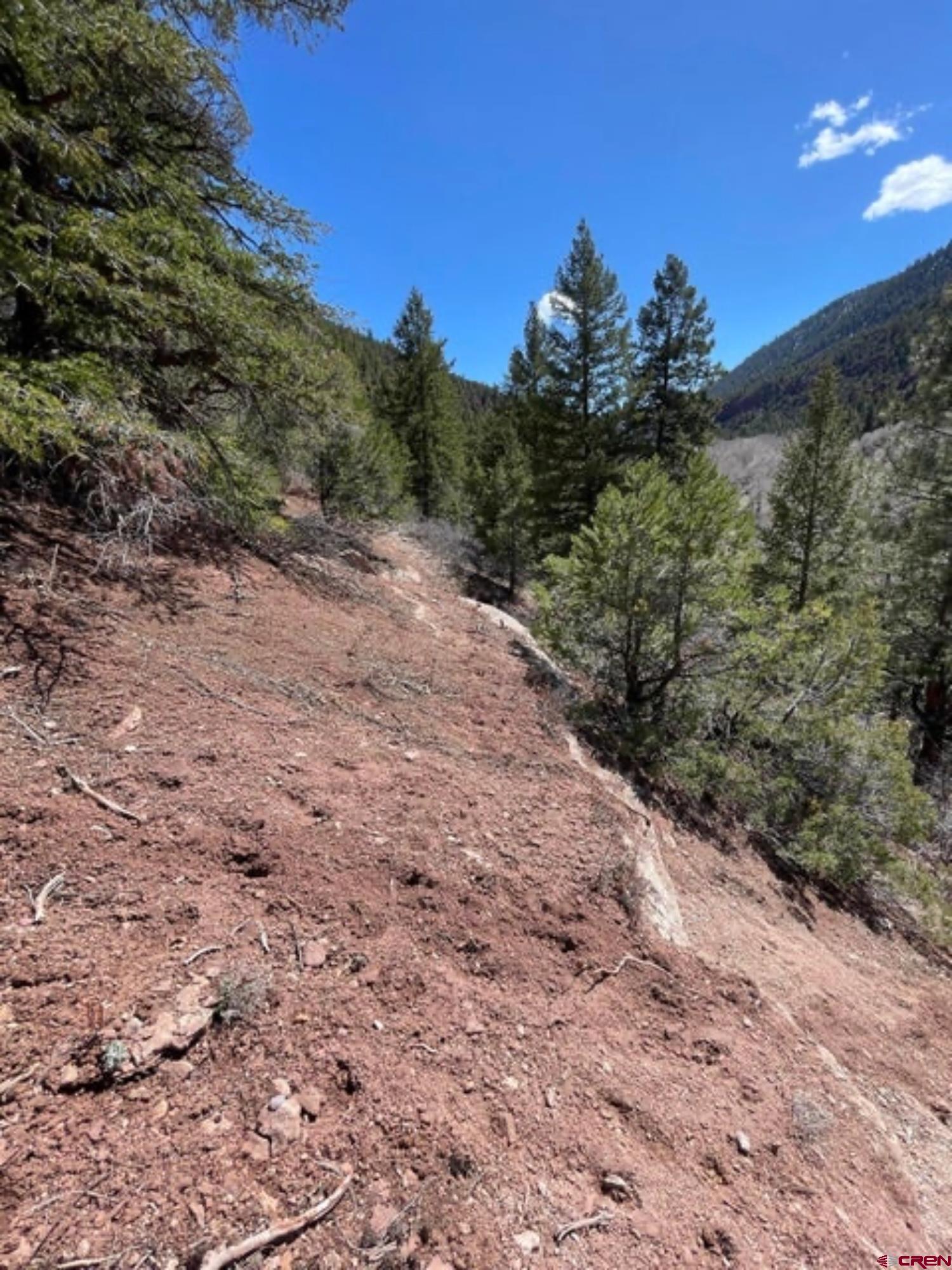 Lot 10-fall Cre 57t Fall Creek Road Placerville, CO 81430 - Photo 9 of 21 a view of a dry yard with lots of green space
