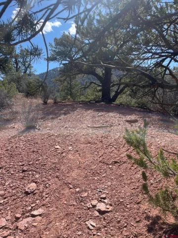 a view of a yard with a tree
