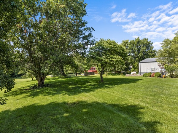 2476 East Washington Road Casey, IL 62420 - Photo 11 of 36 a huge green field with lots of trees