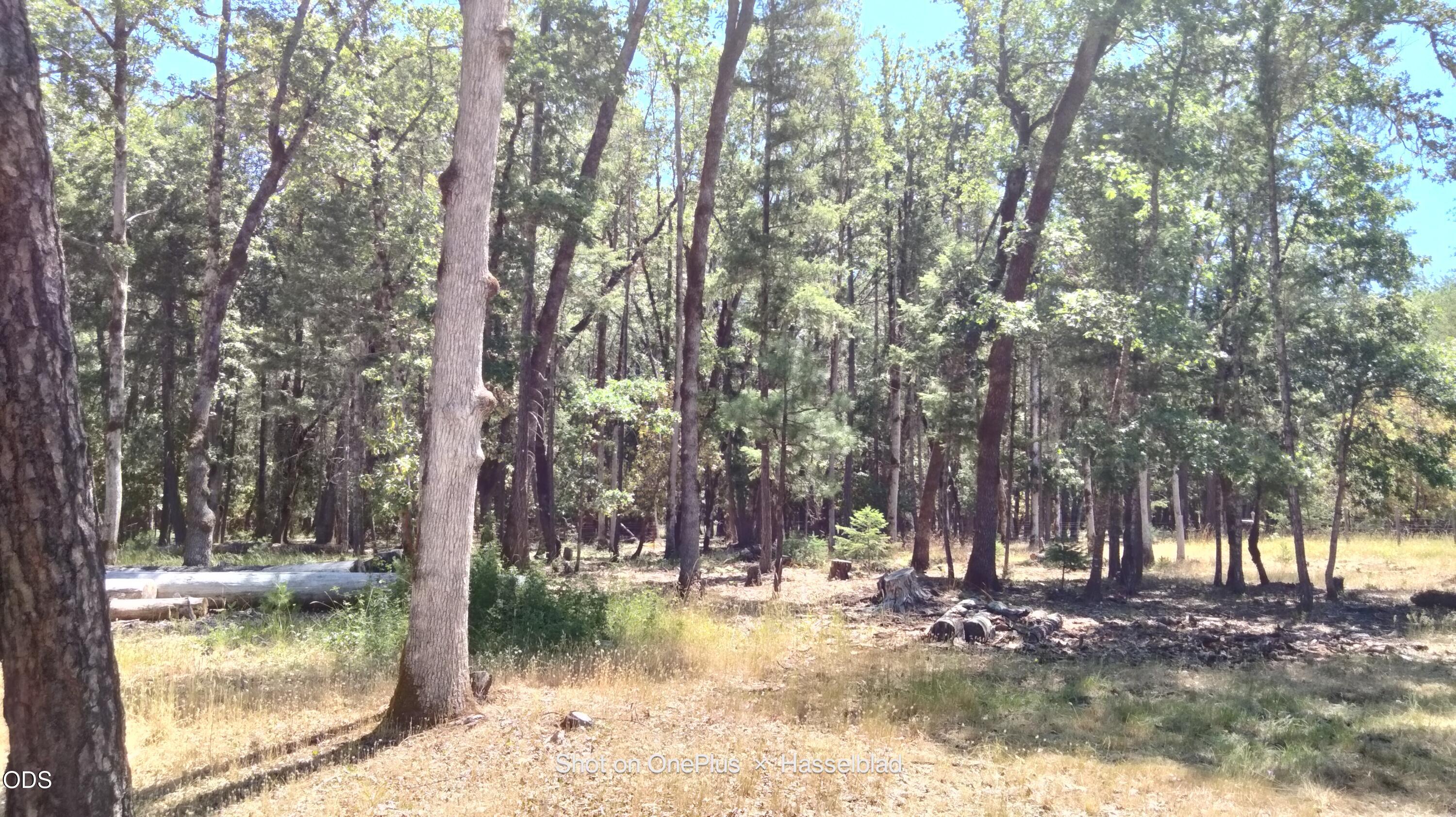 575 Kirkham Road Cave Junction, OR 97523 - Photo 16 of 50