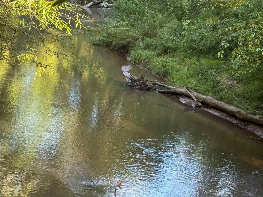 8350 Jacobs Ridge Lane Cumming, GA 30028 - Photo 67 of 68 a view of lake