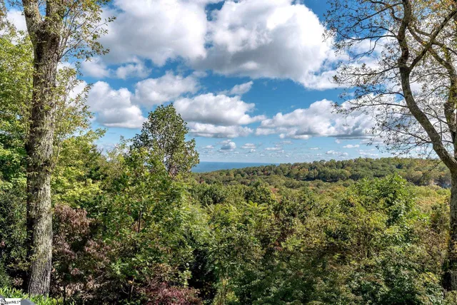 $1,597,000 | 220 Yellowroot Lane, Landrum, SC 29356