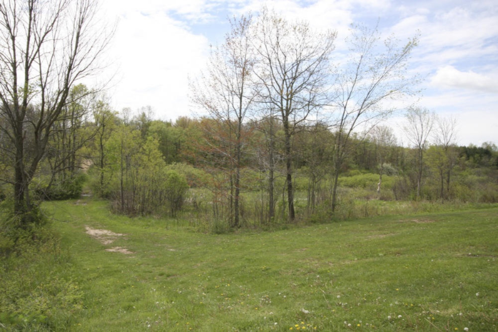 10300 South Case Road Dowling, MI 49050 - Photo 31 of 47 Case 10300 Dowling 30