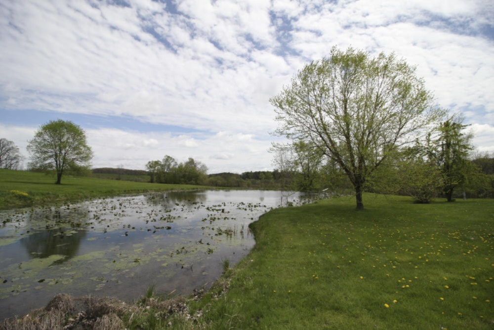 10300 South Case Road Dowling, MI 49050 - Photo 42 of 47 Case 10300 Dowling 41