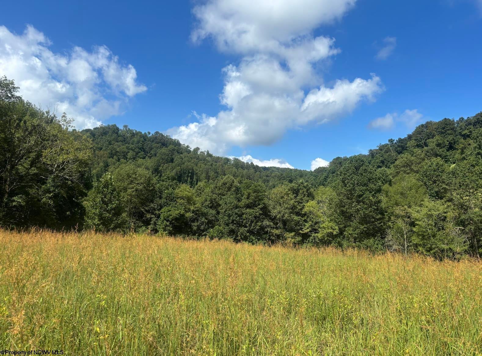 Tbd Fill Hollow Road Rowlesburg, WV 26425 - Photo 28 of 36 Gallery Image 28